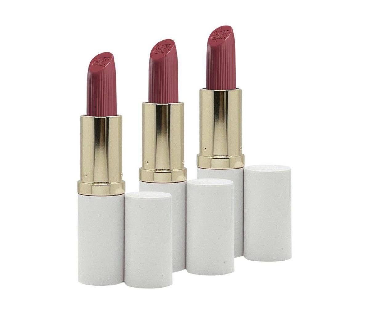 رژ لب استی لادر Pure Color شماره 670 Bold Desires